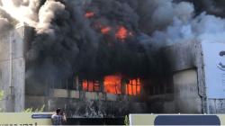 Gedung Bekas Kantor Kanwil DJP Sumbar-Jambi Terbakar, Kerugian Ditaksir Rp1 Miliar