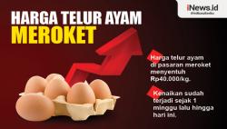 Infografis Harga Telur Ayam Meroket