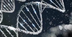 Kisah Rosalind Franklin, Perempuan Jenius Berperan Penting Dalam Penemuan Struktur DNA