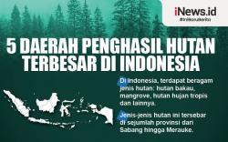 Infografis 5 Daerah Penghasil Hutan Terbesar di Indonesia