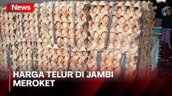Harga Telur di Jambi Tembus Rp52 Ribu Per Papan