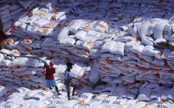4.800 Ton Beras Impor Vietnam Dikirim ke Gudang Bulog NTT untuk Bansos