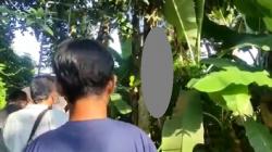 Pilu, Pria Diduga ODGJ Ditemukan Tewas Gantung Diri di Pohon Nangka