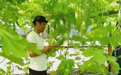 Jadi Caleg Partai Perindo, Ini Harapan Cok Jun Penjual Keripik di Bali