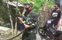 Warga Bangkalan Geger Ular Sanca 3 Mater Masuk Mobil TNI saat Bakti Sosial