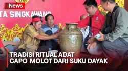 Damaikan Perselisihan Antar Warga Dayak, Intip Tradisi Ritual Adat Capo' Molot