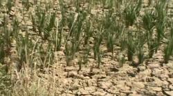 Prediksi Puncak Kemarau di Bandung Raya Juli-Agustus, Krisis Air Bersih Jadi Ancaman<