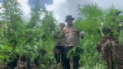 Polisi Bantah Kepung Rumah Pedemo Izin Tambang di Nagan Raya: Itu Kediaman Bandar Narkoba