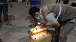 Penyelundupan Unggas Digagalkan di Pelabuhan Laut Jayapura, Ayam hingga Burung Kenari