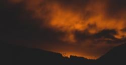 Ngeri! Video Game Berikan Gambaran Perilaku Manusia saat Kiamat