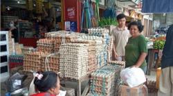 Harga Telur di Jayapura Rp45.000 per Kg, Disperindag: Stabil Tak Ada Kenaikan