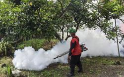 Kasus DBD di Ciamis Capai 100 Lebih, 2 Orang Meninggal<