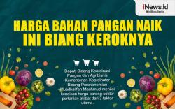 Infografis Harga Pangan Naik, Ini Biang Keroknya