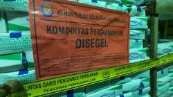KKP Segel 9,7 Ton Ikan Salem Impor Tak Sesuai Peruntukan di Kalbar