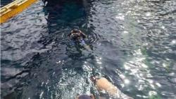 ASDP Ternate Kerahkan Tim Penyelam Data Kerusakan Dermaga Pelabuhan Bastiong