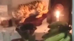 Viral Alquran Ditaruh di Sesajen dengan Bunga dan Tasbih, Lokasi Medan