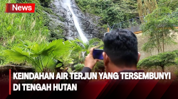 Pesona Air Terjun Menjulang Tinggi di Tengah Hutan Mamuju