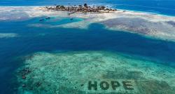 Hobi Snorkeling, Jaga Ekosistem Laut dengan Restorasi Terumbu Karang, Begini Caranya!