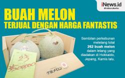 Infografis Buah Melon Terjual dengan Harga Fantastis
