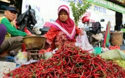 Kabupaten Penghasil Cabai Terbesar di Sumsel, Ternyata Bukan Pagaralam<