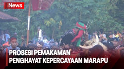 Uniknya Prosesi Pemakaman Penghayat Kepercayaan Marapu di Sumba Timur