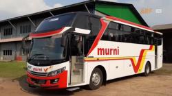 Masih Diminati, Intip Bodi Bus Golden Falcon dari Karoseri Trijaya Union yang Pakai Sasis Mesin Depan