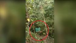 Kecelakaan di Jalinsum Medan, Truk Masuk Jurang hingga Sopir Terjepit 6 Jam