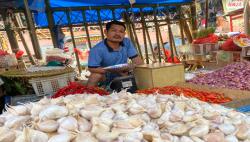 Bapanas Ungkap Biang Kerok Kenaikan Harga Bawang Putih di Indonesia