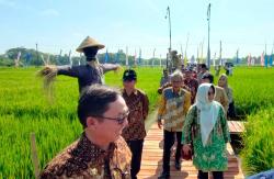 139 Benih Dipamerkan dalam Gebyar Pembenihan 2023 di Jogja Agro Park<