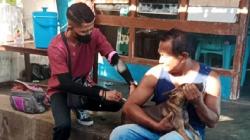 Kasus Rabies, Satu Desa di Pulau Timor NTT Diisolasi<