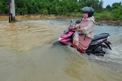 Potret Emak-Emak Naik Motor Nekat Terobos Banjir di Jambi