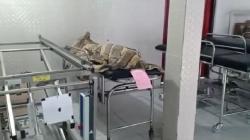 Bocah 6 Tahun di Klungkung Tewas Diduga Terjangkit Rabies, Pernah Digigit Anjing