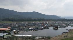 Musim Kemarau, Kebutuhan Pakan Ikan di KJA Waduk Saguling KBB Dipastikan Naik<