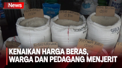 Harga Merangkak Naik, Warga Pilih  Beras Kualitas Rendah di Palembang<