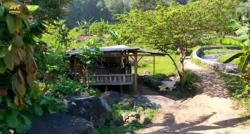 Viral, Ada Warung Buka di Tepi Sungai padahal Jauh dari Keramaian, Suasananya Bikin Takjub!