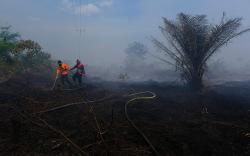 Petugas Gabungan Berjibaku Padamkan Kebakaran Lahan Gambut di Kubu Raya