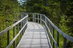 Jalan Layang Pejalan Kaki Ambruk, 18 Orang termasuk 17 Anak Dilarikan ke RS