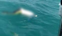 Geger! Mayat Laki-Laki Ditemukan Mengambang di Perairan Toboali 