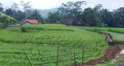 Viral, Kampung Unik di Krajan Tengah, Hanya di Desa Ini Warga Tak Pernah Rasakan Musim Kemarau