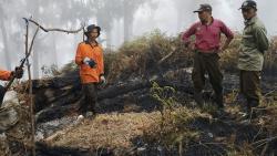 Petugas: Kebakaran Gunung Arjuno-Welirang Terindikasi untuk Mudahkan Perburuan Liar