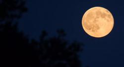 Mengenal Strawberry Moon, Fenomena Bulan Purnama yang Terjadi 3 Juni