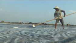 Berkah Cuaca Panas, Petani Garam di Jepara Panen Lebih Awal dan Raup Untung<