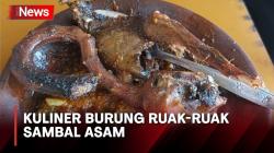 Kuliner Burung Ruak-Ruak Dipadu Sambal Asam ala Mbah Muntiah di Lamongan