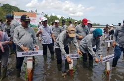 Hari Lingkungan Hidup, Bupati Pasangkayu Hadiri Penanaman 85.000 Mangrove