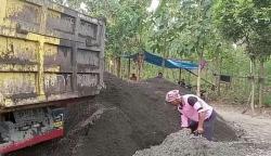 Melihat Aktivitas Depot Pasir di Pemalang, Tempat Buruh Bongkar Muat Meraup Rezeki<