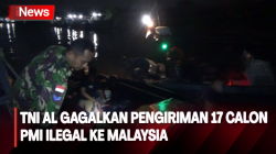  Penyelundupan 17 Calon PMI Ilegal Tujuan Malaysia Berhasil Digagalkan TNI AL 