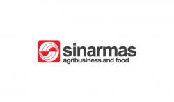 Sinar Mas Agro (SMAR) Akan Bagi Dividen Rp570 per Saham