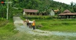 Kampung Unik di Kebumen, Hanya di Desa Terpencil Ini Bisa Menikmati Pemandangan Samudra Hindia