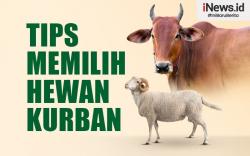 Infografis Tips Memilih Hewan Kurban