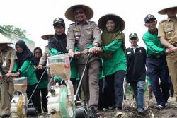Tekan Ketergantungan Impor, Mentan Dorong Peningkatan Produksi Kedelai Nasional